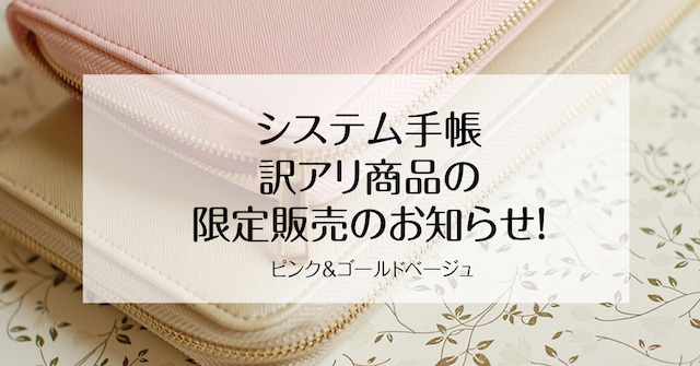 送料無料【訳アリ商品】マルチ家計収納 システム手帳　ディスカウント商品