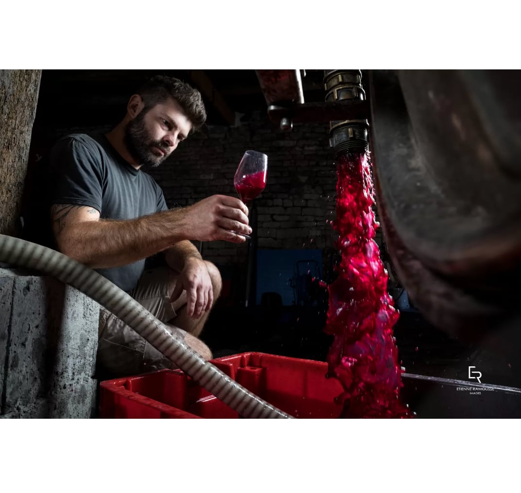 【デリアンス】クレマン・ド・ブルゴーニュ NV