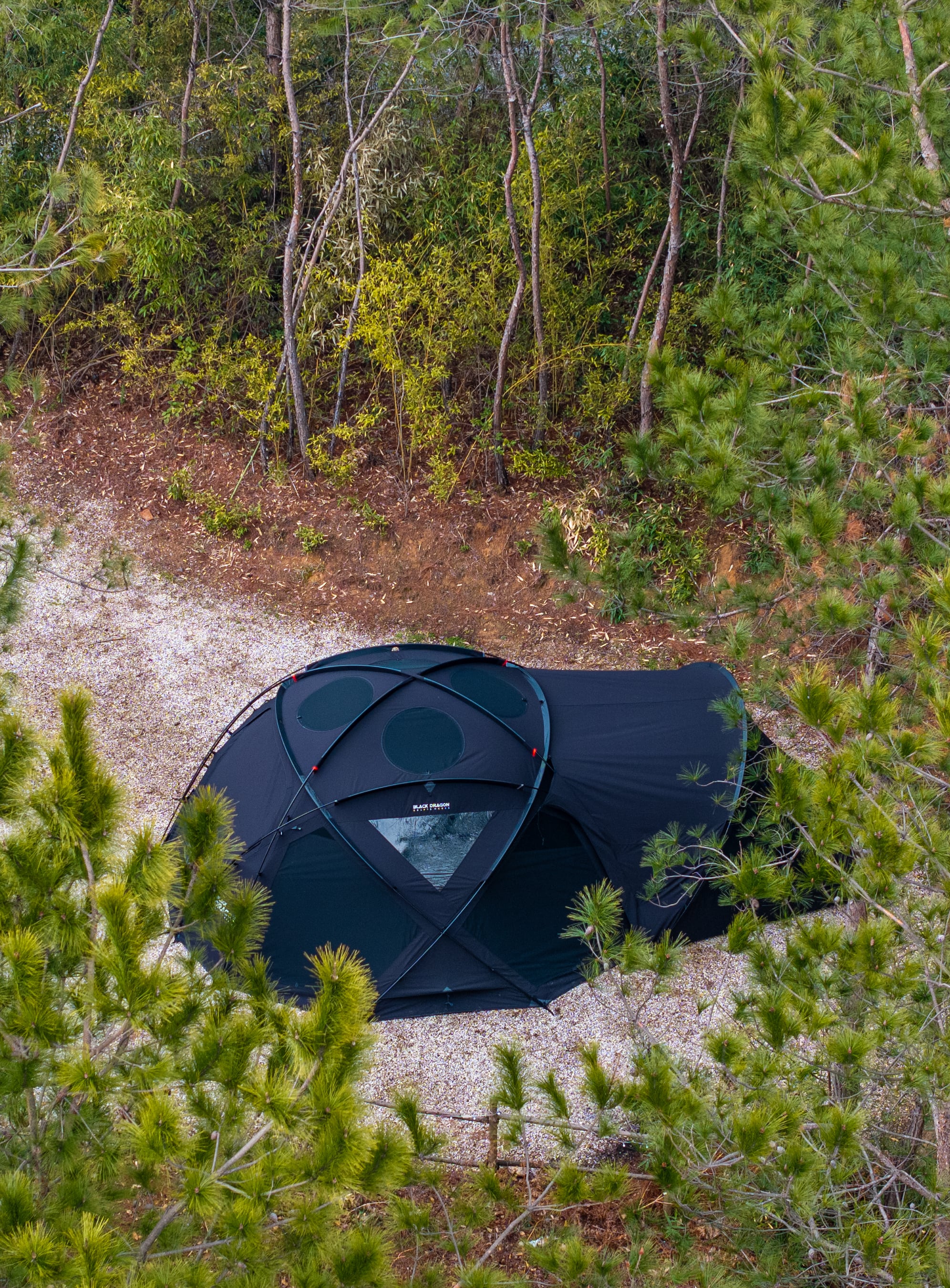 日本限定版Japan Limited Edition] Black Dragon S450 Pro T/C BLACK
