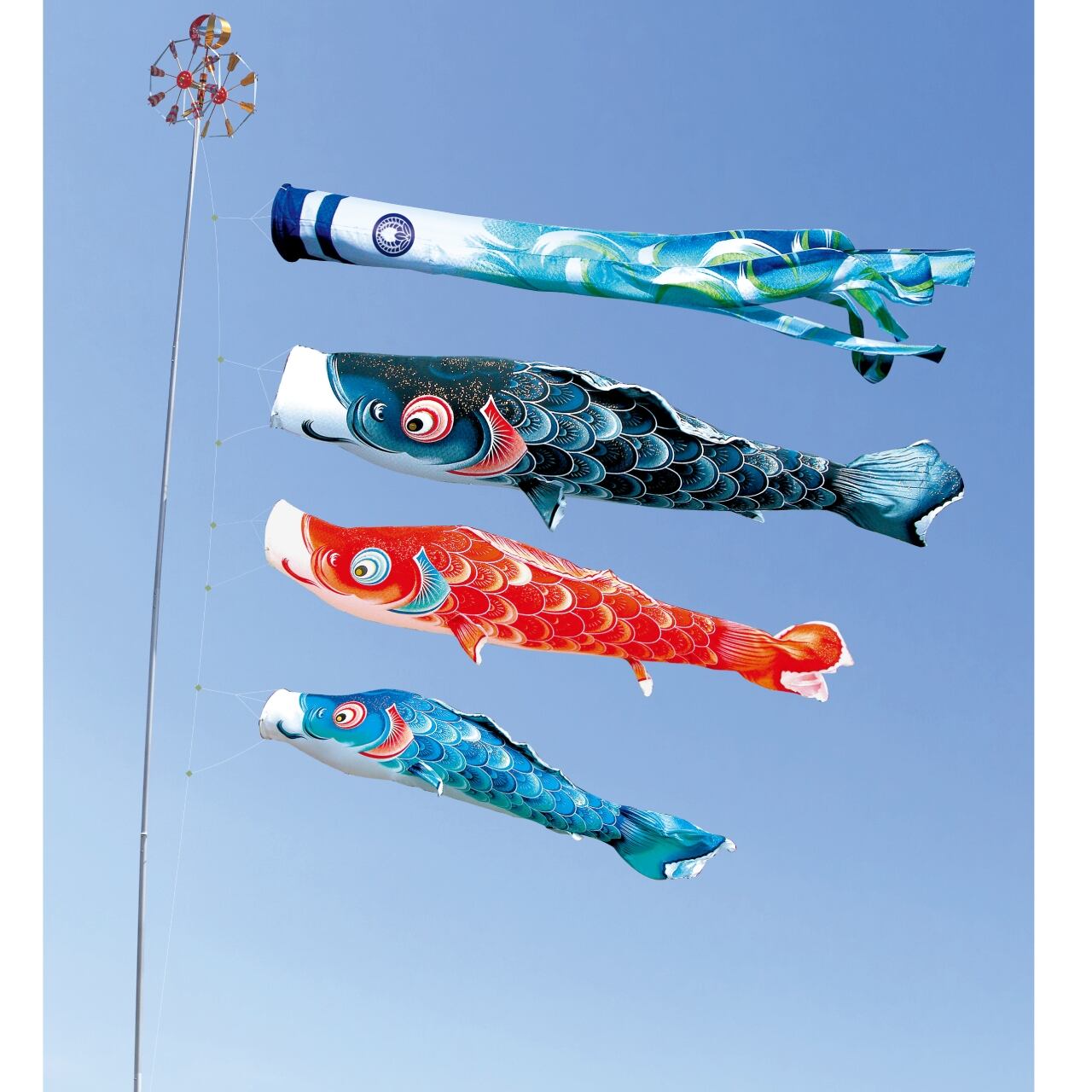 風舞大型セット　３M６点セット（徳永鯉のぼり）
