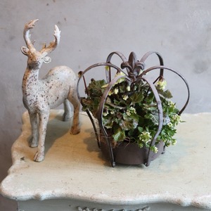 冬から春に楽しむ寄せ植え　シクラメン森の妖精クラウンポット　届いてすぐ玄関に飾れる 　プレゼントにもオススメ　