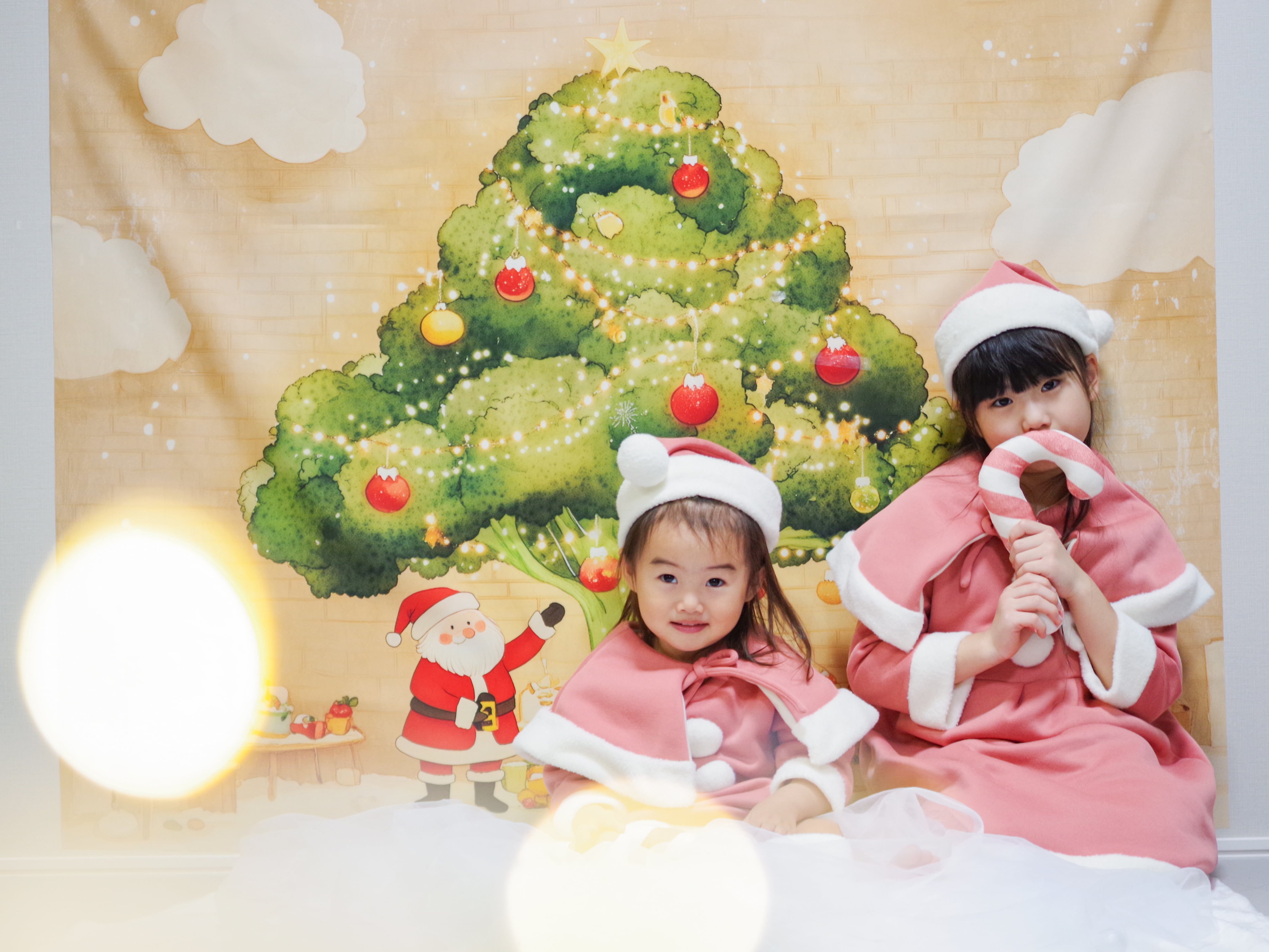 背景布 クリスマス 【公式通販】