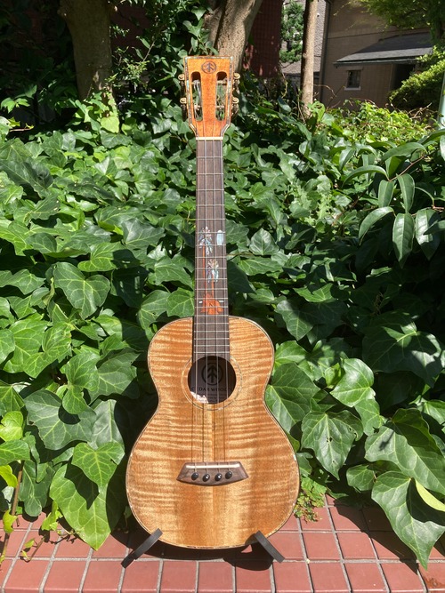 High End Mango Tenor (Cedar wood's original Low-G setting)