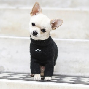 TURTLE NECK SWEATER(Moss) / OVER GLAM