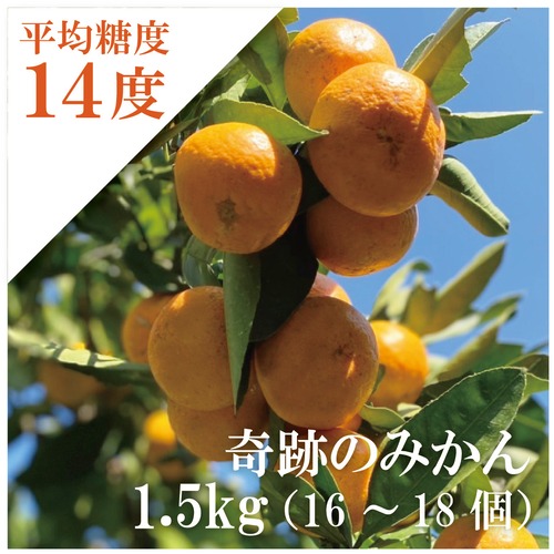 2026奇跡の糖度！有田みかん 【1.5kg】