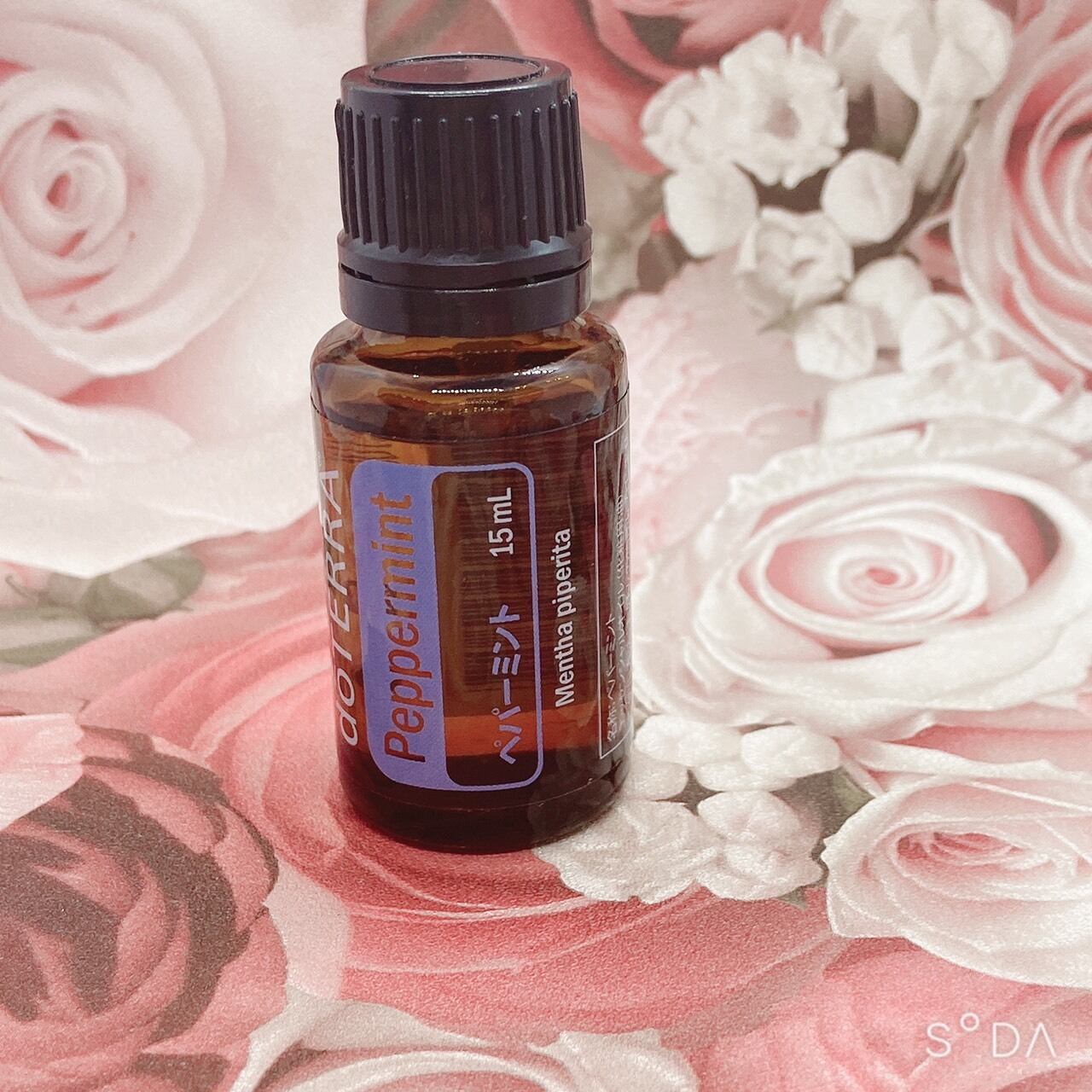 doTERRA ペパーミント アロマオイル 15ml ドテラ