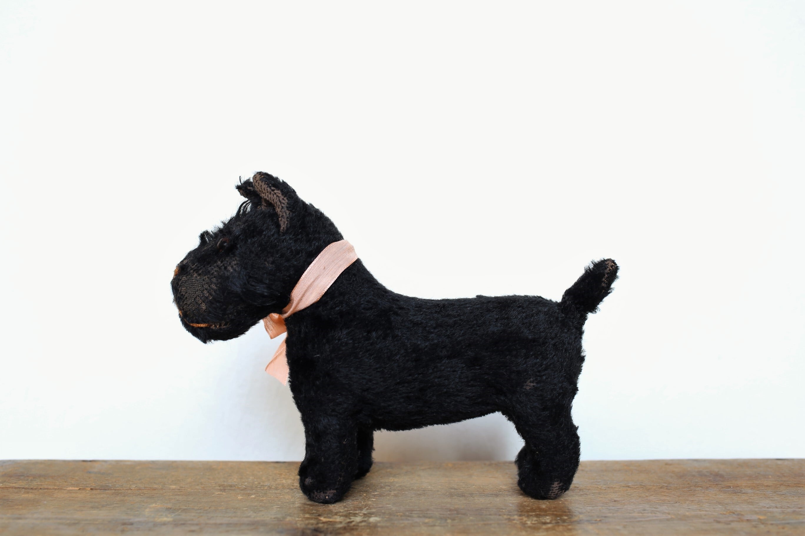 フランス アンティーク ヴィンテージ 犬のぬいぐるみ テリア N-03318