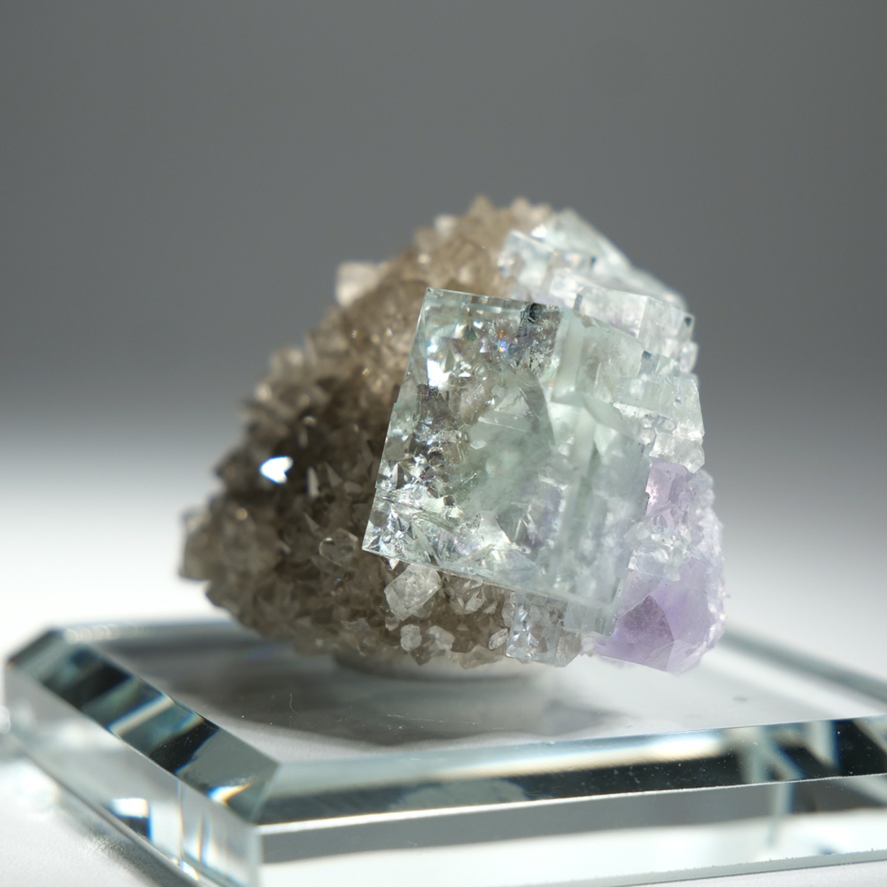 シャンファーリン産 フローライト スモーキークォーツ 共生 / 原石 標本【D_1】