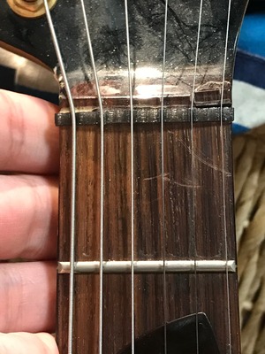 Fernandes zo-3 Nut　 