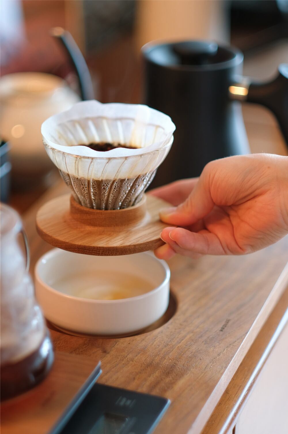 PROLOG Wooden Dripper Holder for HARIO V60 | GOLDEN FOREST