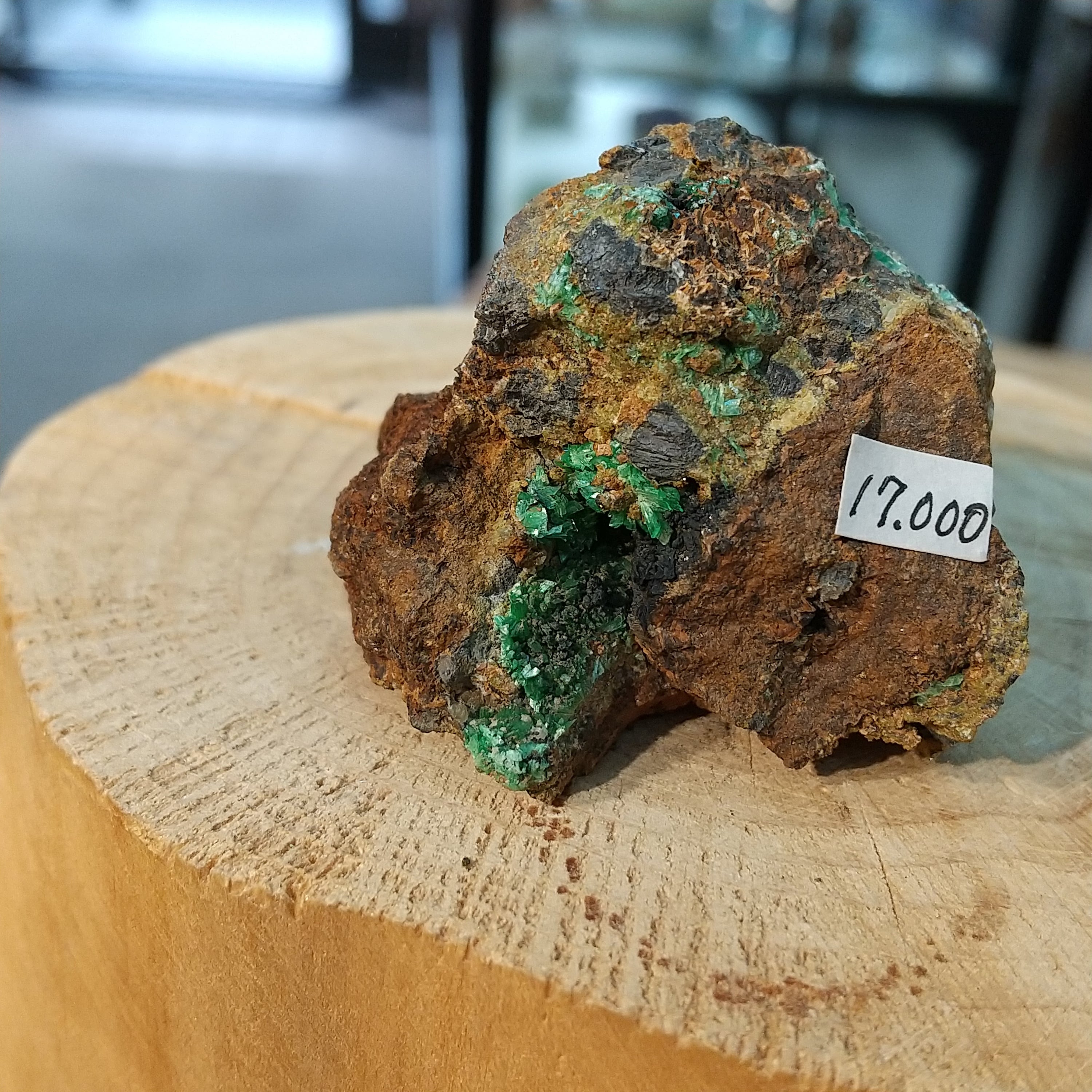 efa882a19782ba18aa1f5b4188a765