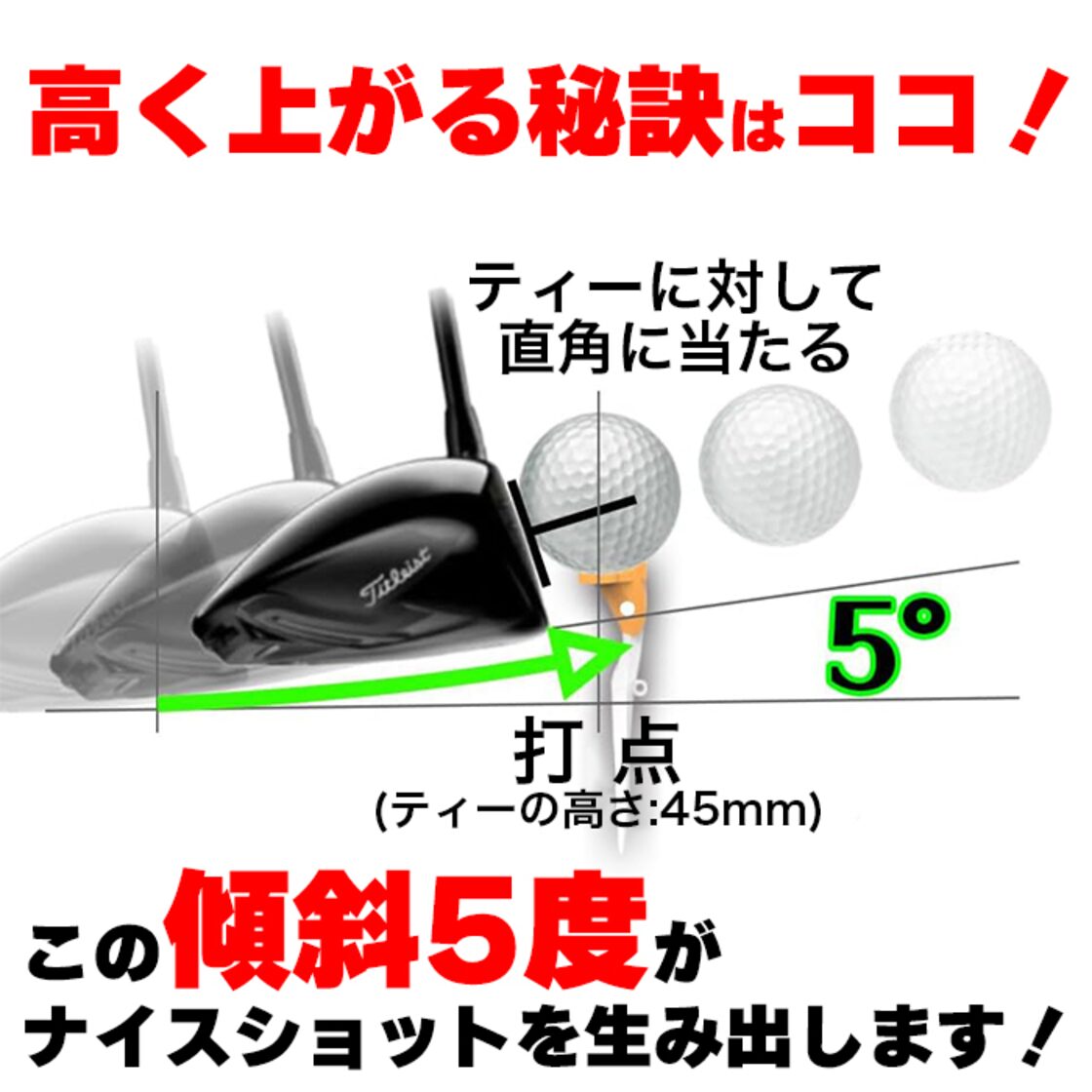 Birdie79 ハイパスティー High Path Tee バーディ79 折れにくいティー 