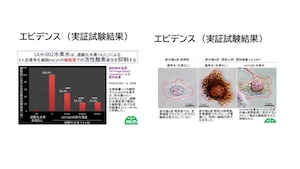 プラチナム水素　90粒入（1袋）