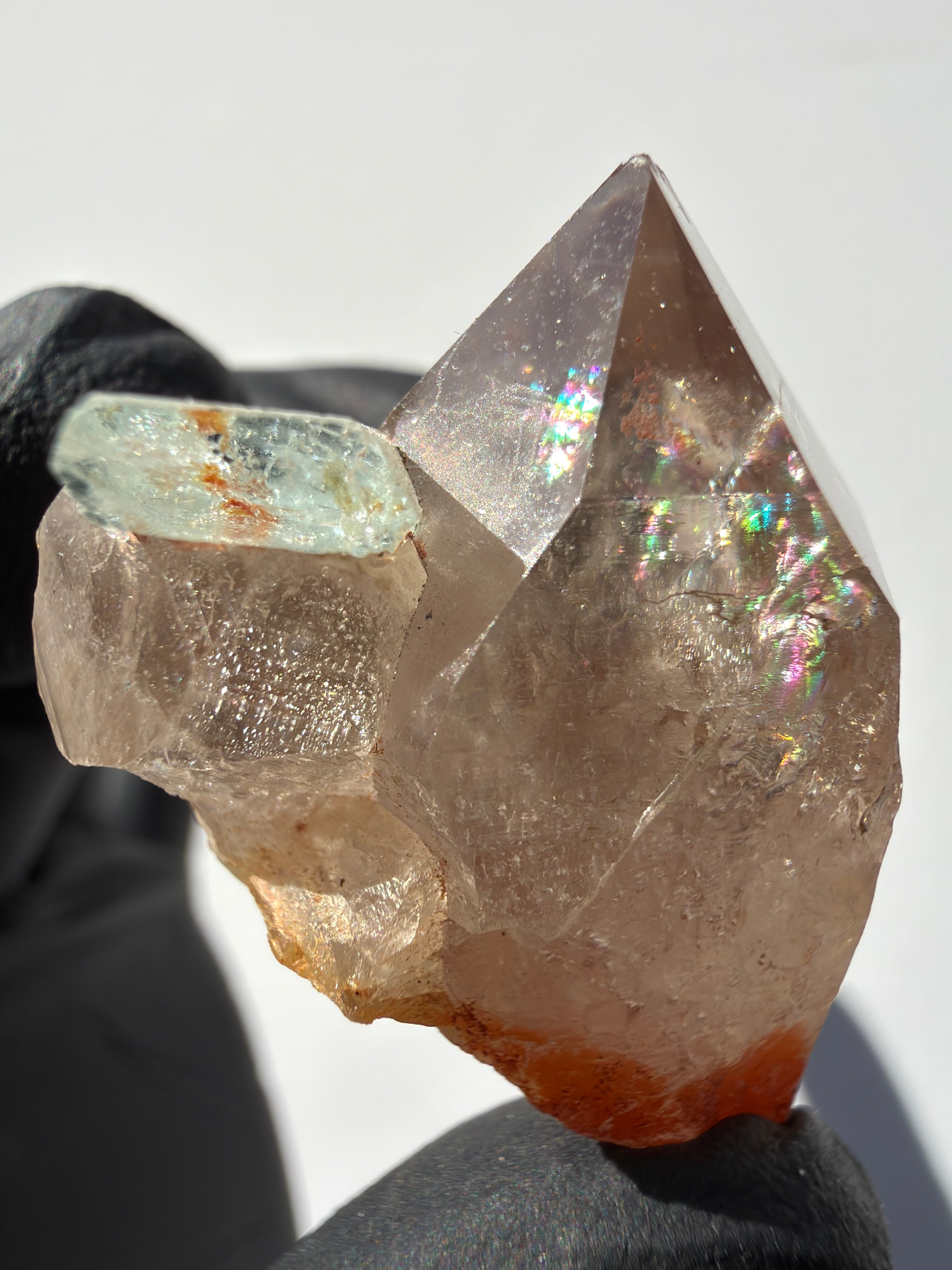 レコードキーパー | アトリエ セドナ