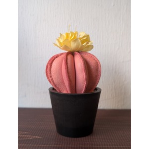 【ARCANA】Leather Cactus  S/ Pink