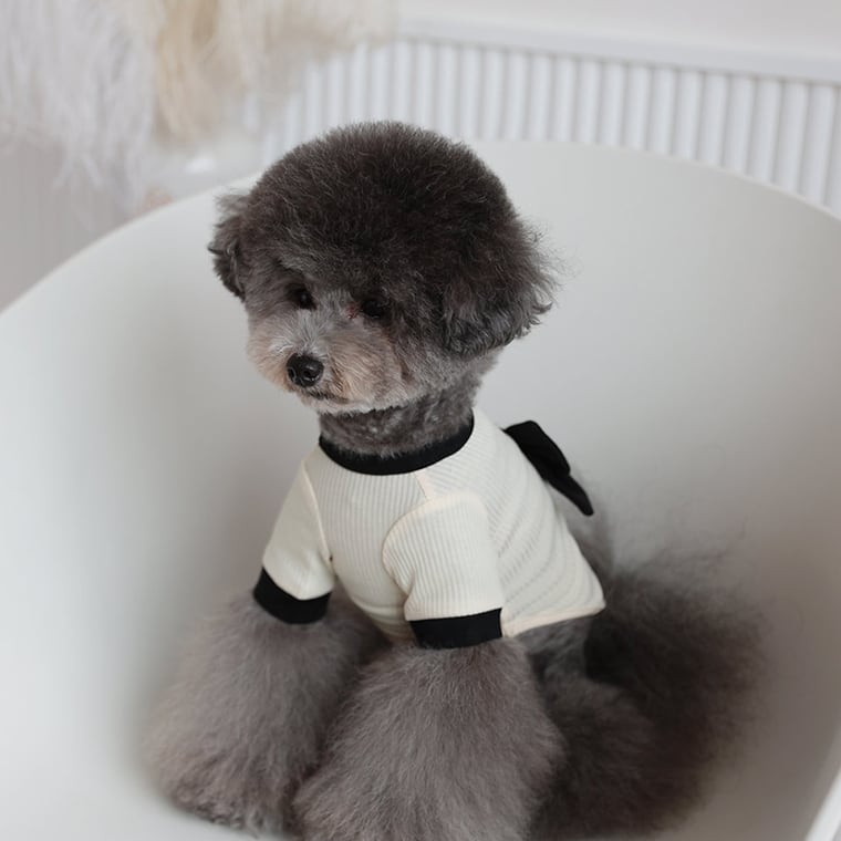 onz ribbon knit t-shirt S ~ XL 4color / 犬服 ニット 可愛い 犬の服 Tシャツ 背中 リボン 重ね着 おしゃれ トップス お揃い ドッグウェア 無地 シンプル 韓国ワンコ服 b54
