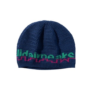 LIDAIRPEAKS / MOUNT CITY BEANIE NAVY