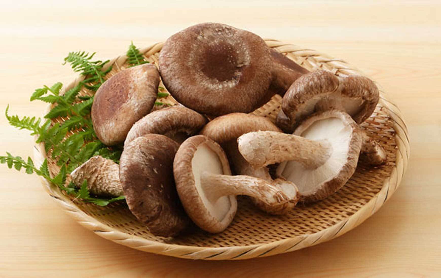 ジャンボしいたけ 特大 約800g 大きい椎茸 国産しいたけ 美味しい椎茸