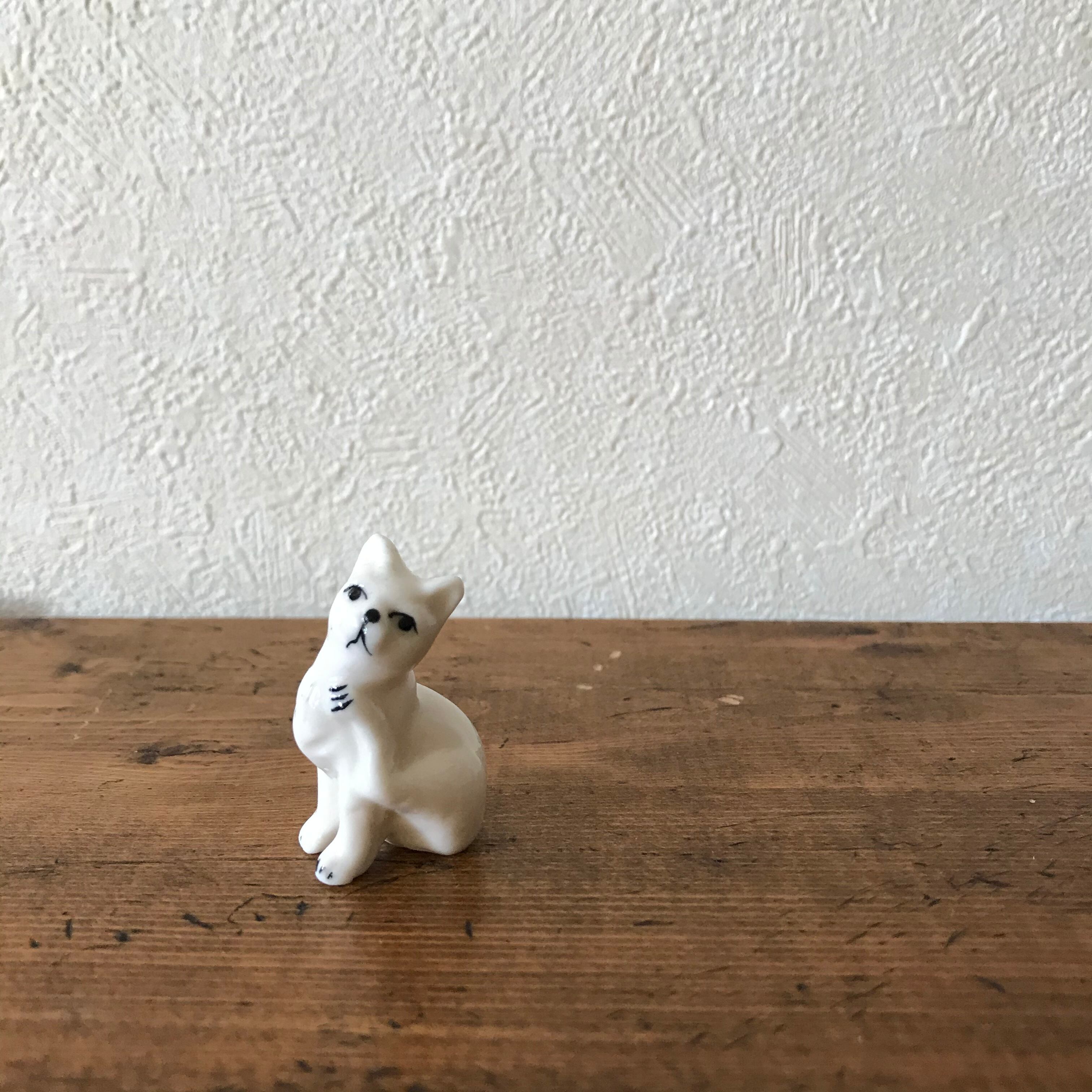 毛繕い中のネコ