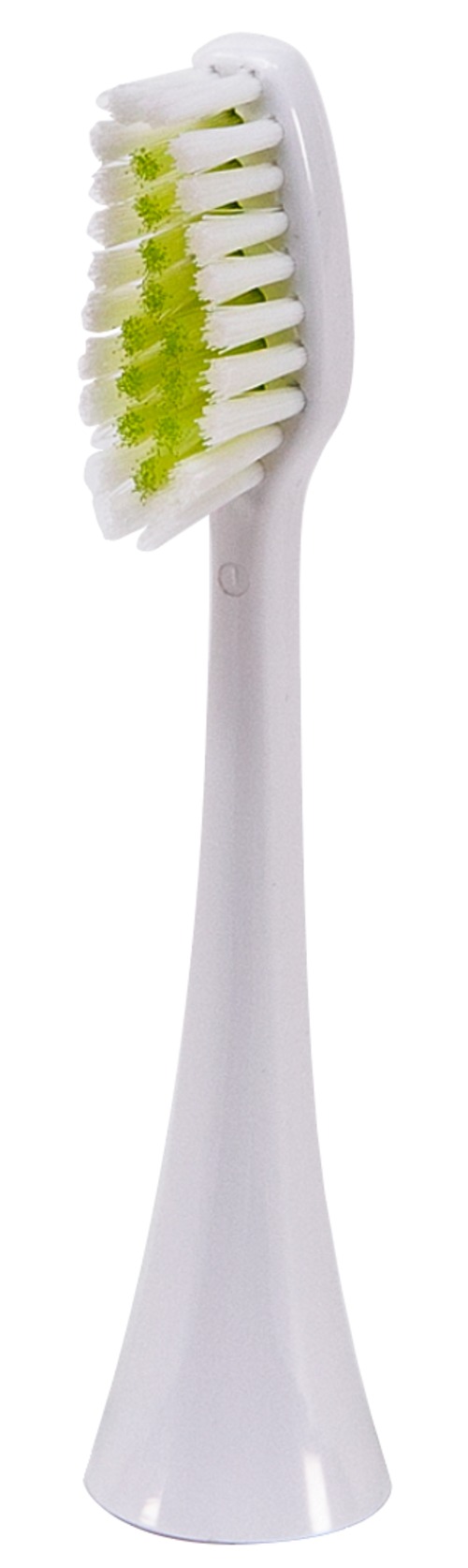 T-Time専用替えブラシ ソフト センシティブ（FL-SS）