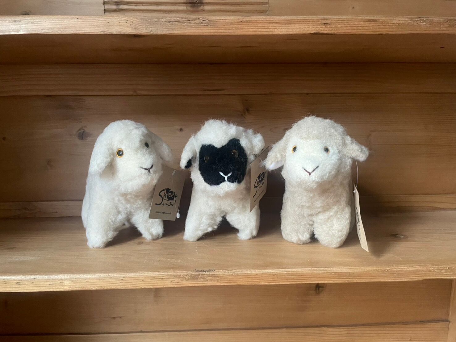SHEEP BY THE SEA SHEEP MINI ウールボアのひつじ | PADDY'S