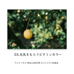 パネル : 03.元気をもらうビタミンカラー