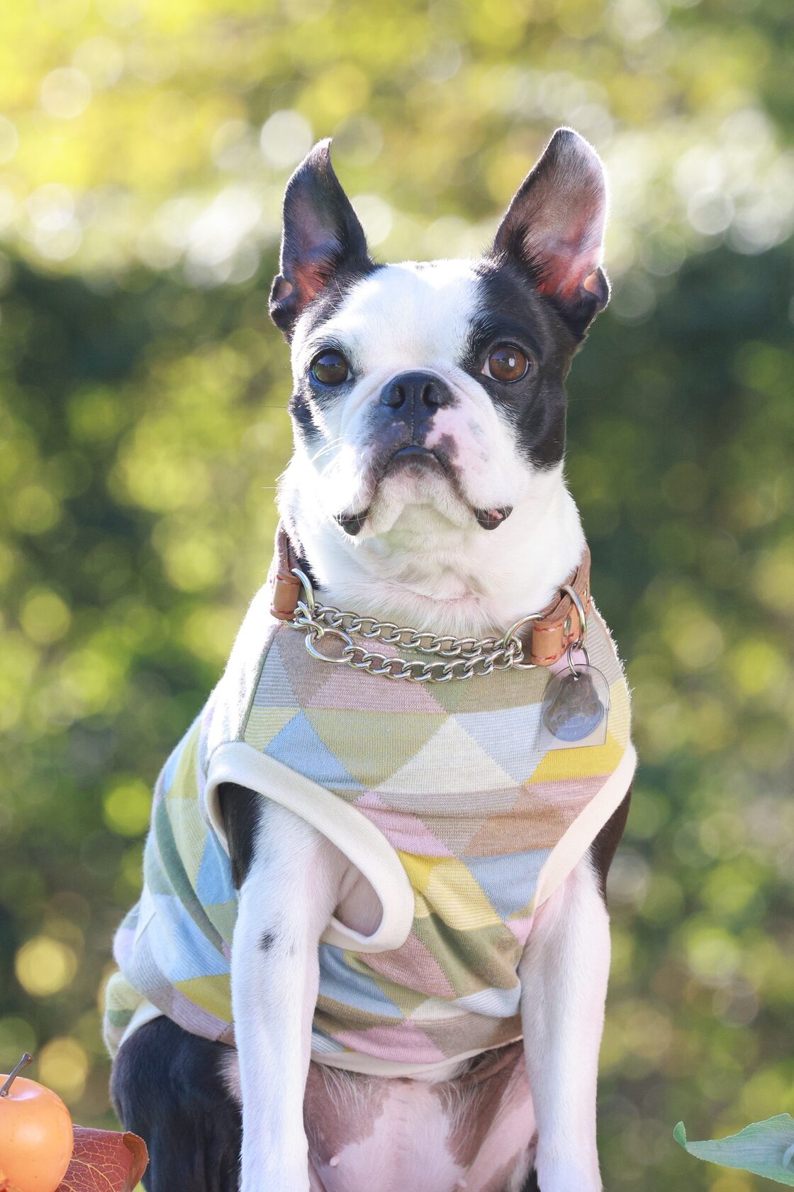 犬服 ☆トライアングルブロック☆ タンクトップ ハンドメイド | PAY ID