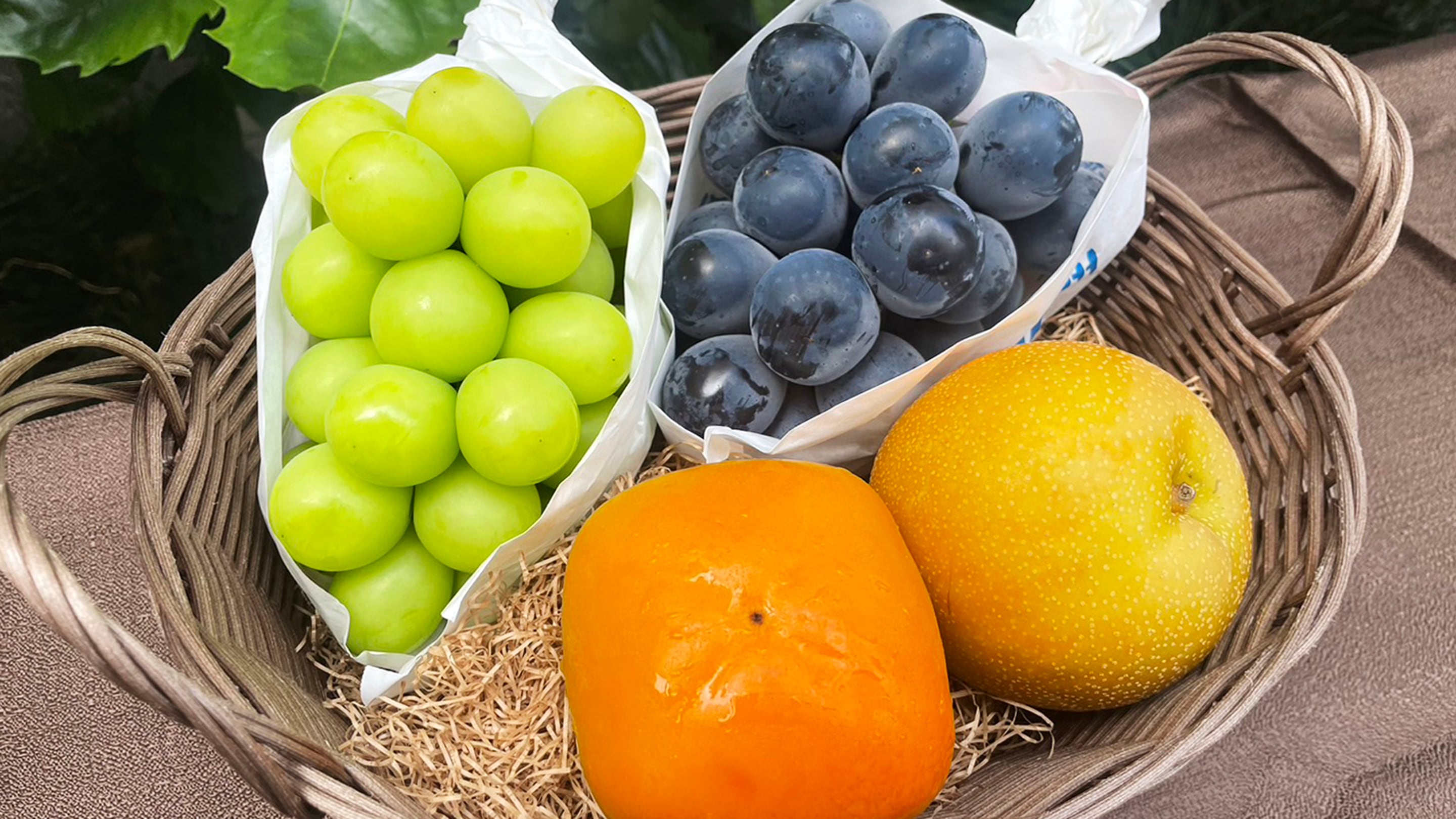 【フルーツギフト プレミアム】梨と柿 2種のぶどう