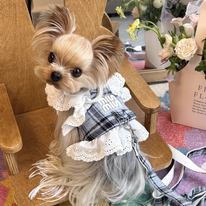 レース付ベスト風ハーネス(リード付き) 00779