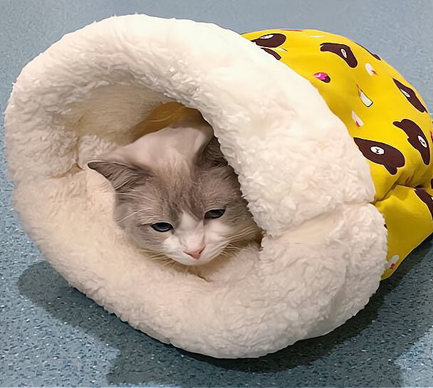 猫の巣ソフト暖かいペットベッド巣の寝袋洞窟 猫の巣ソフト暖かいペットベッド巣の寝袋洞窟