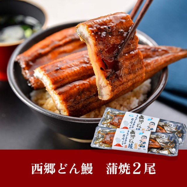 鹿児島県産『西郷どん鰻』２尾（２～４人前）