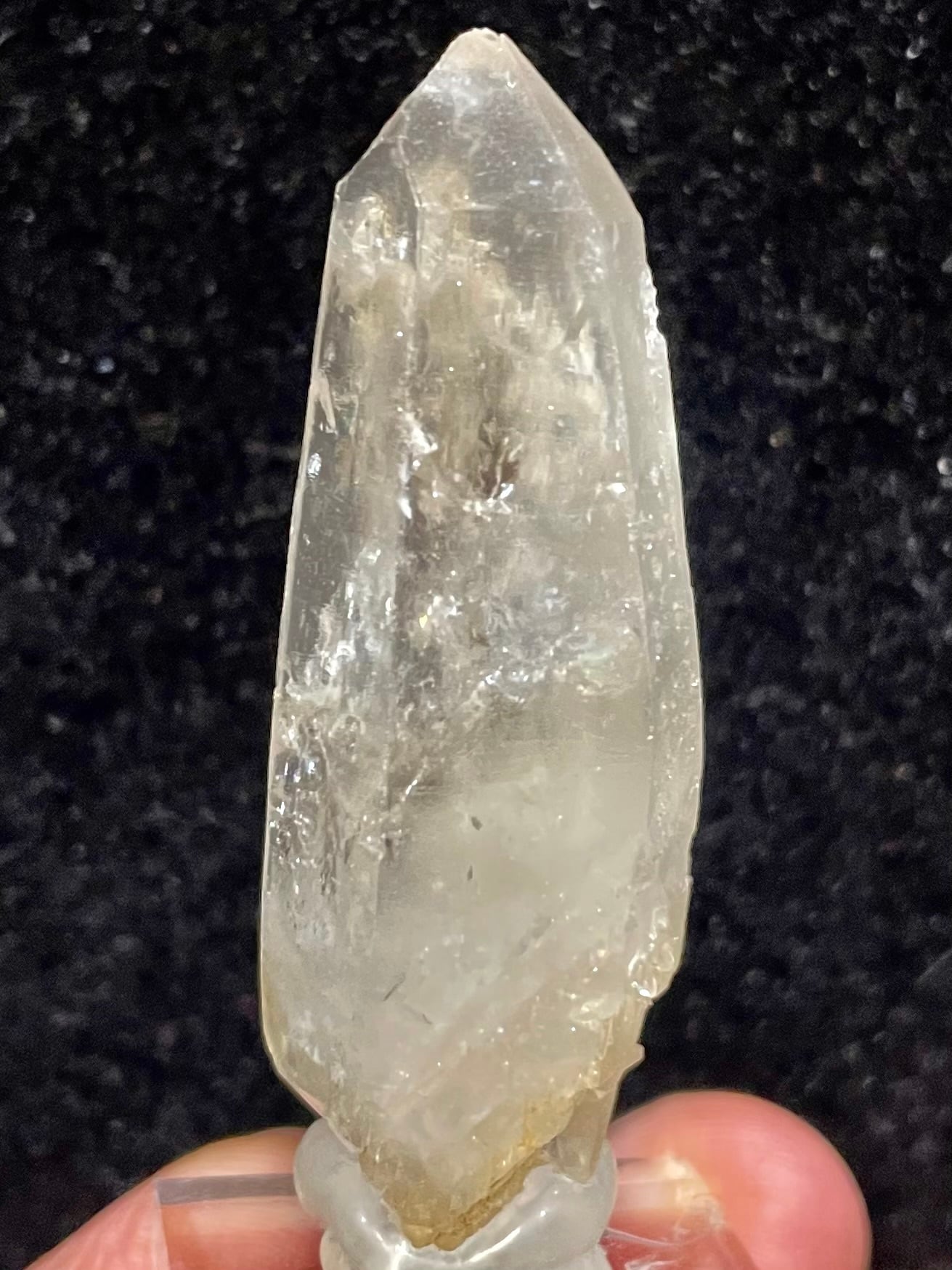 7) ロシアン・レムリアン