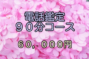 電話鑑定９０分コース(2024年1月1日〜)