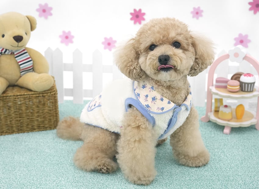 bear collar fleece vest S ~ XL 2color / 犬服 秋冬 新作 暖かい アウター ふわふわ もこもこ フリース ベスト ドッグウェア 冬 部屋着 お出かけ 小型犬 中型犬 outer18