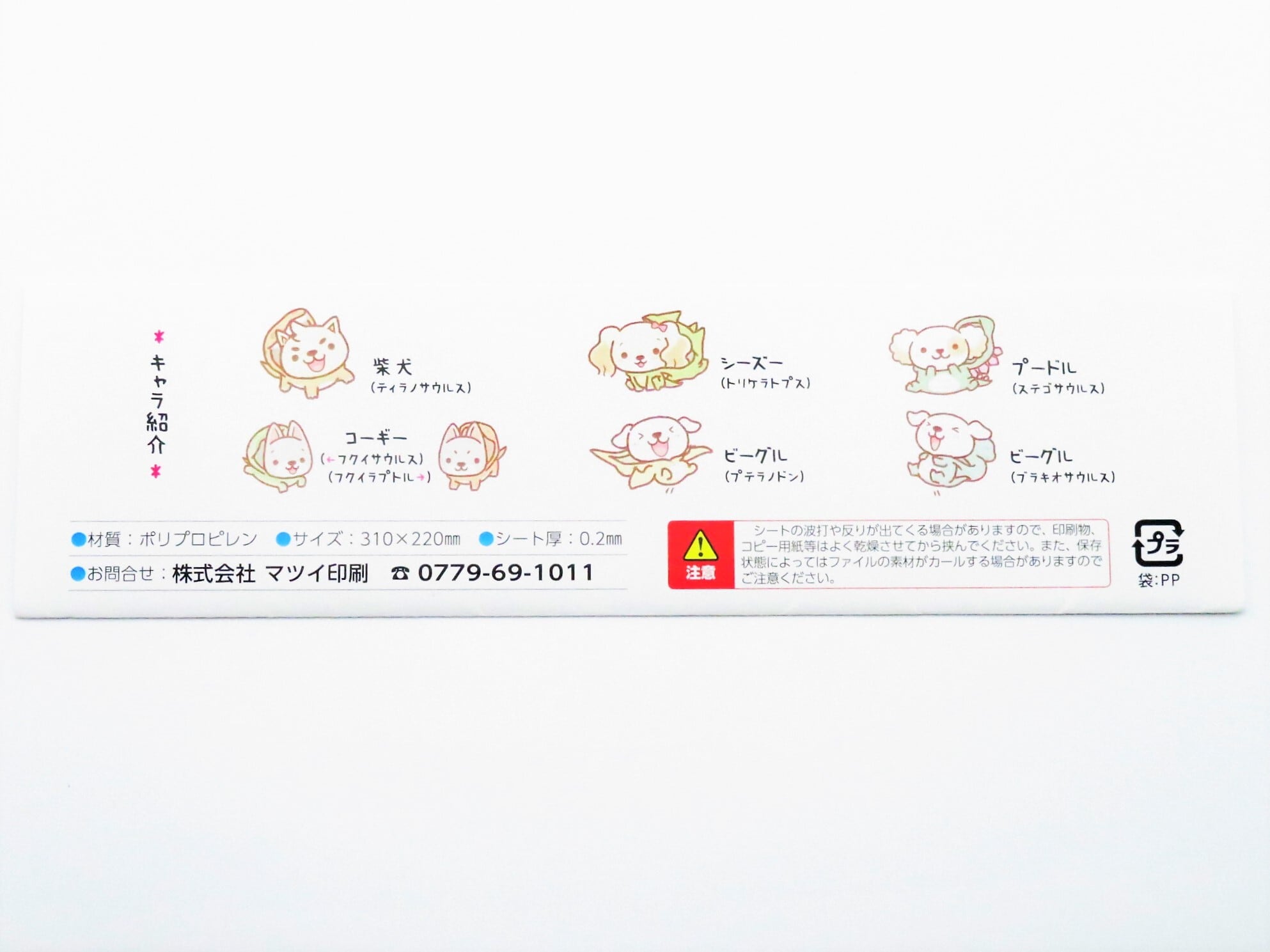 きょうりゅう日和 クリアファイルセット 2枚入り | 福井勝山お土産