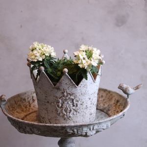 mondimanche 宿根草　バーベナ　ヴァネッサ　ライム｜寄植えにオススメ　長く楽しめるお花です