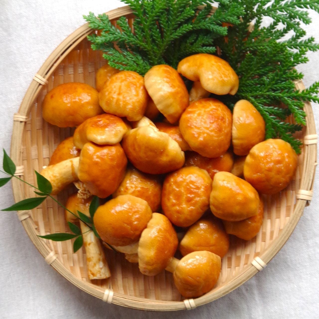 なめこ専用商品 吸盤つきマスコット なめきゅう3｜なめこぱらだいす☆なめこ公式