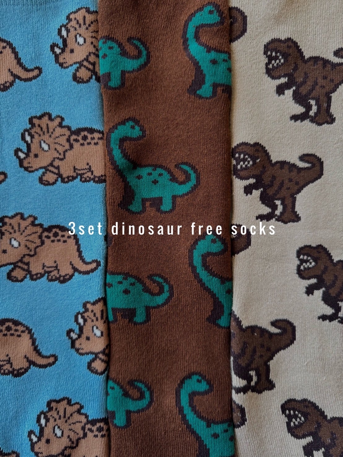 3set 恐竜 free socks   4293