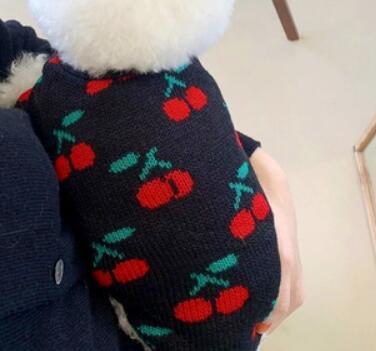 《予約》№1101816 あったかチェリートップス