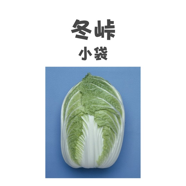 冬峠　ハクサイ種子・DF小袋
