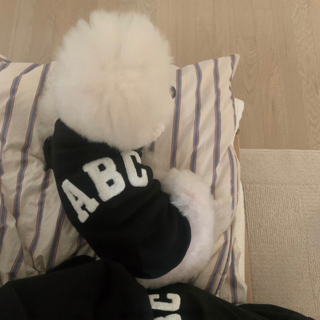 【HONEY DOG】ABC Tシャツ(black)