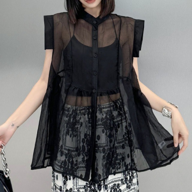 Sheer Flare Blouse【00434】