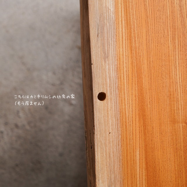 欅の良材 一枚板 ローテーブル リビングテーブル ＜送料無料＞