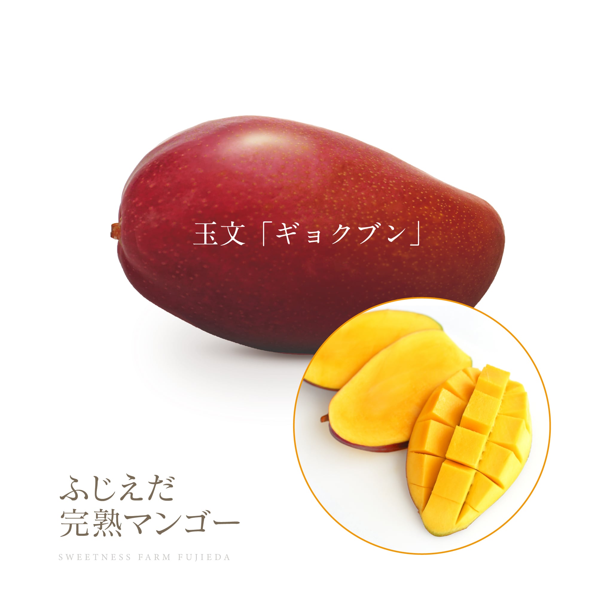 特価10%OFF!【ギョクブン】マンゴーの日 大玉SP ~7/28迄