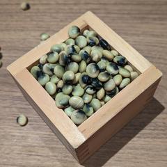 MSサイズ】農薬不使用有機栽培玉ねぎ5㎏ | やさしい風