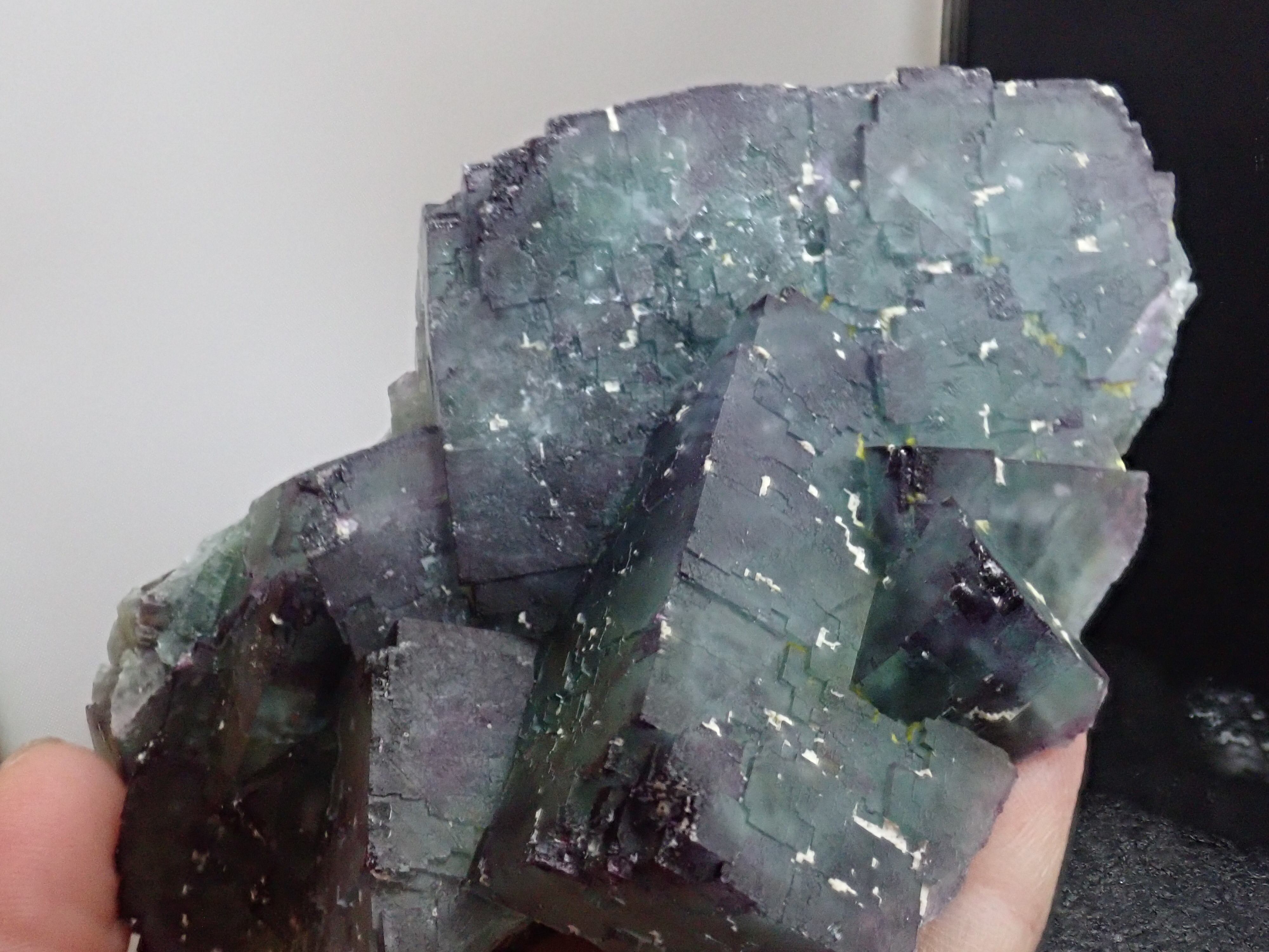 美品✨オコルス鉱山産フローライト＆クォーツ 母岩付き共生原石 特大結晶】オコルス鉱山 フローライト 蛍石 原石 標本 | 石処たっちゃん