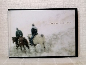 Viggo Mortensen  THE HORSE IS GOOD  Perceval Press