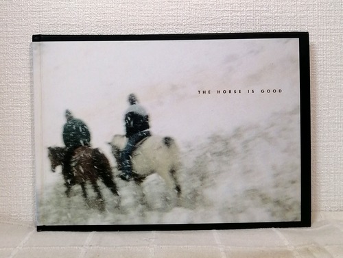 Viggo Mortensen  THE HORSE IS GOOD  Perceval Press