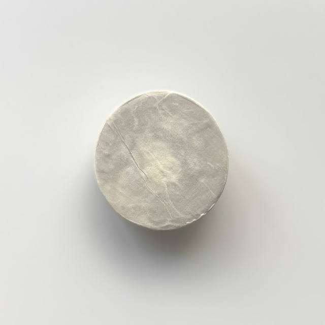 ＃25003 ブローチ／雰囲気の化石　Brooch／Atmospheric Fossil