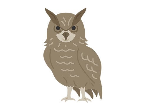 ミミズクのイラスト | イラストセンター有料素材販売